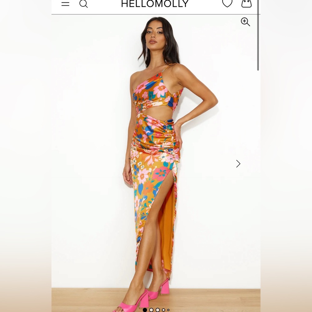 Hello Molly Vibrant Floral Dress